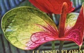 Classic Florals Coffee Table Book